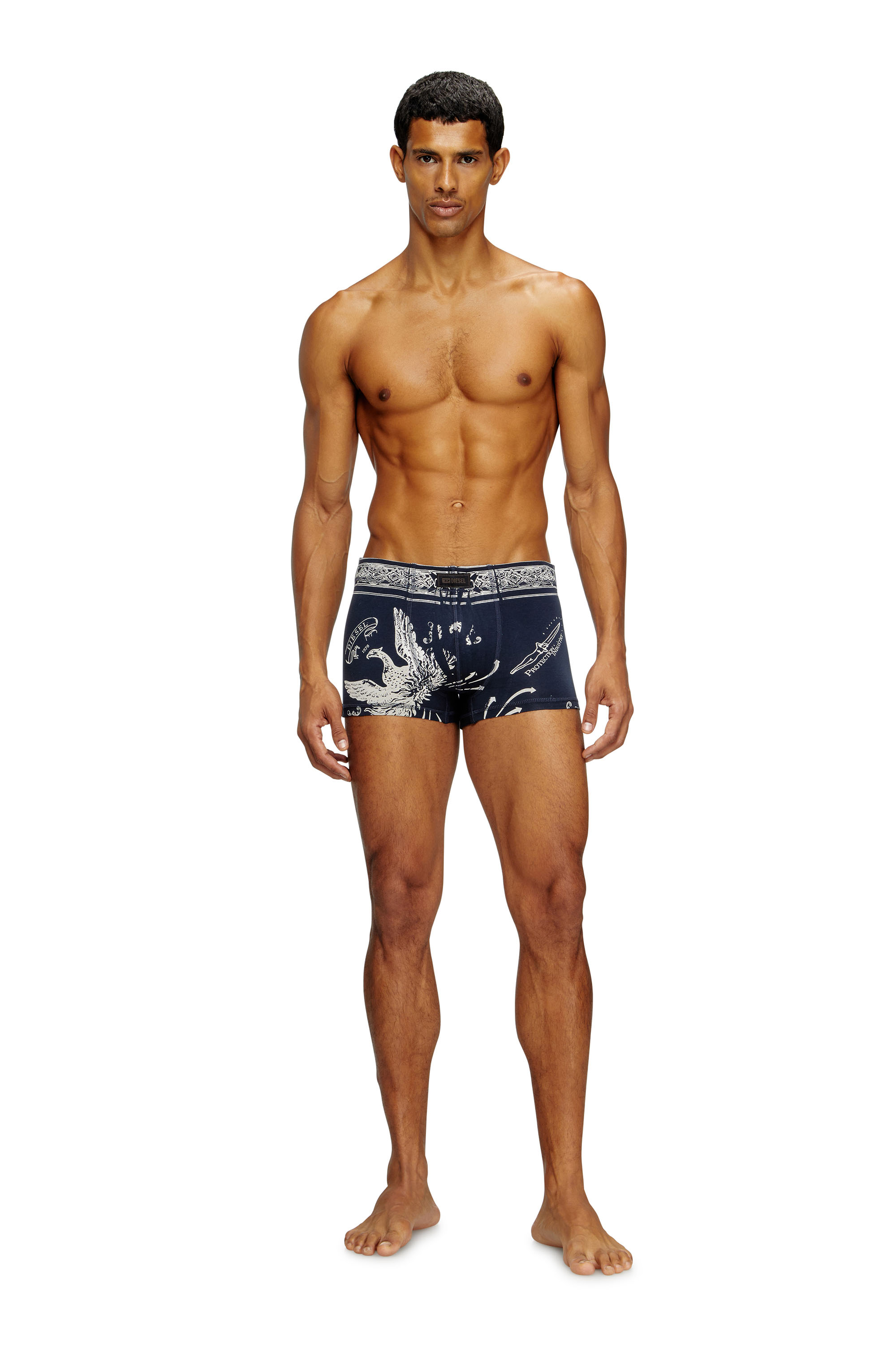 Diesel - DAMIEN-UTLT, Man's Boxer briefs with Phoenix print in Blue - 1