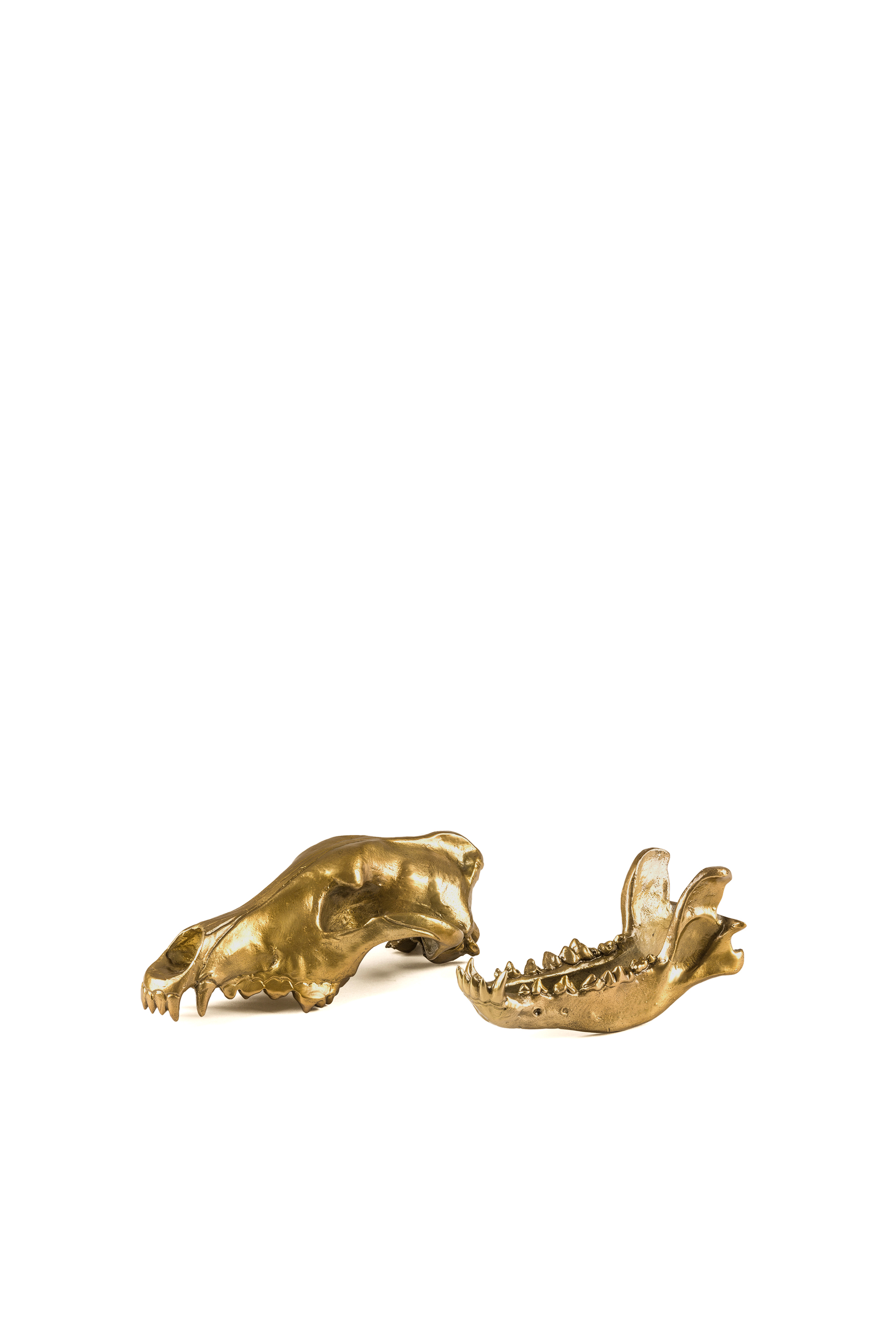 Diesel - 10892 Wunderkammer, Unisex's "Wolf This Way" Wunderkammer Wolf Skull in Gold - 4