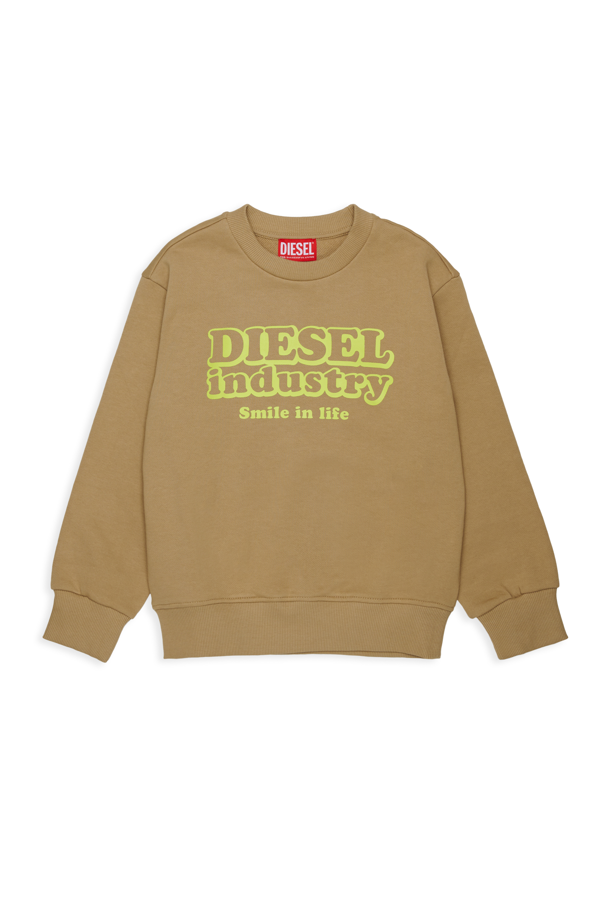 Diesel - SLODIM OVER, Man's Sweatshirt with Diesel Industry print in Brown - 1