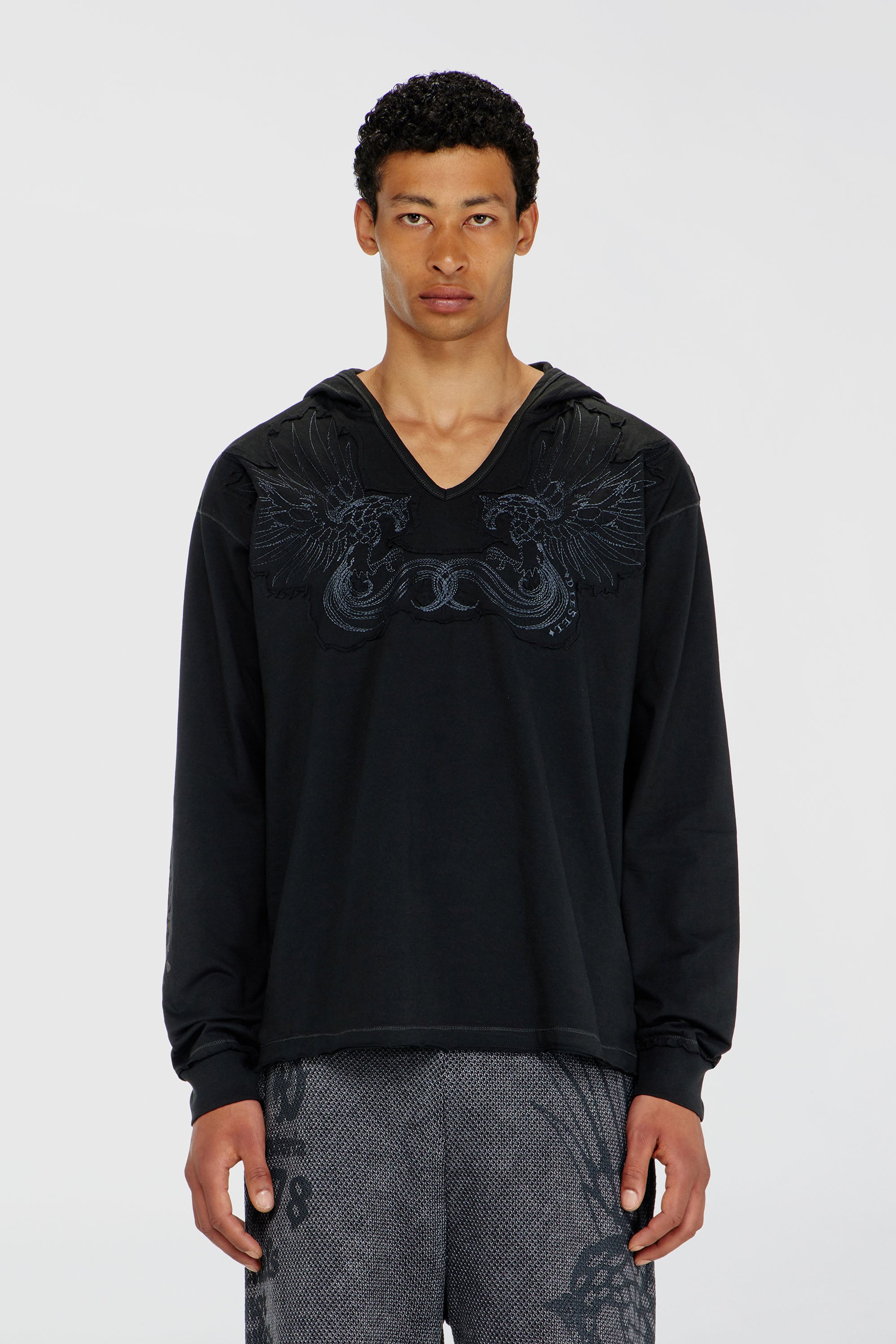 Diesel - T-PHEN-LS-HOOD-RIB, Man's Hoodie with V-neck and embroidered front in Black - 1