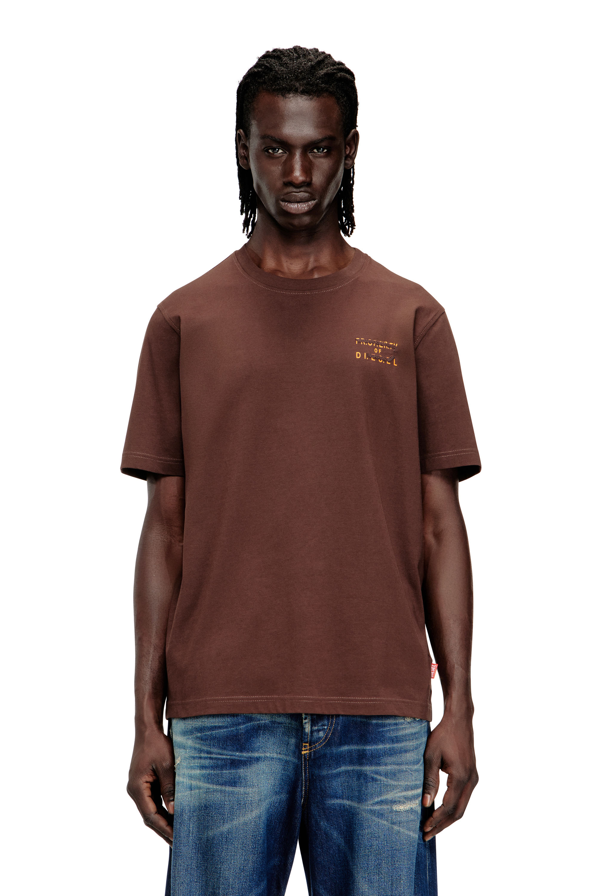 Diesel - T-ADJUST-V5, Man's Regular cotton T-shirt with puff print in Brown - 1