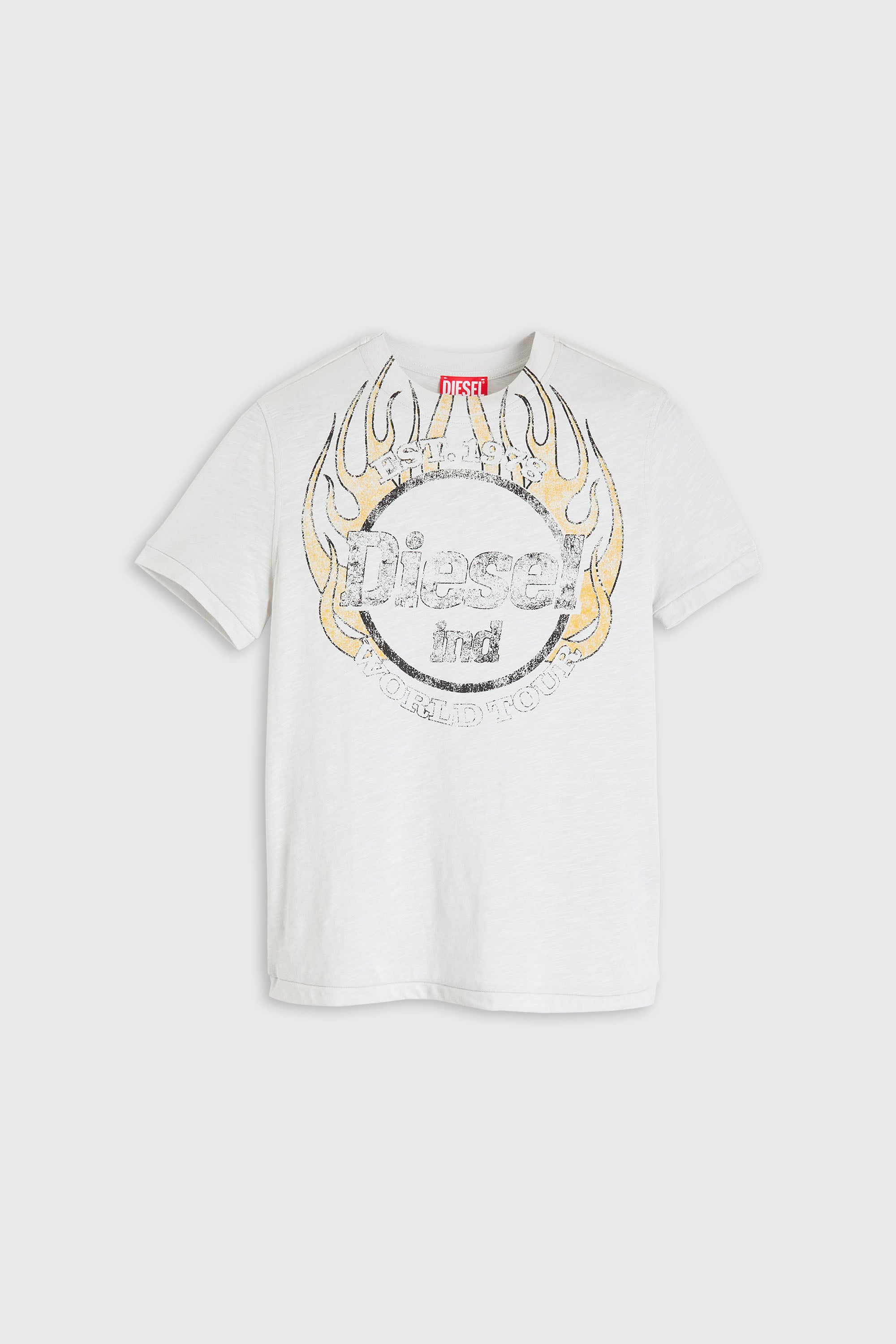 Diesel - T-REG-B1, Woman's T-shirt in slub jersey with crack print in White - 2